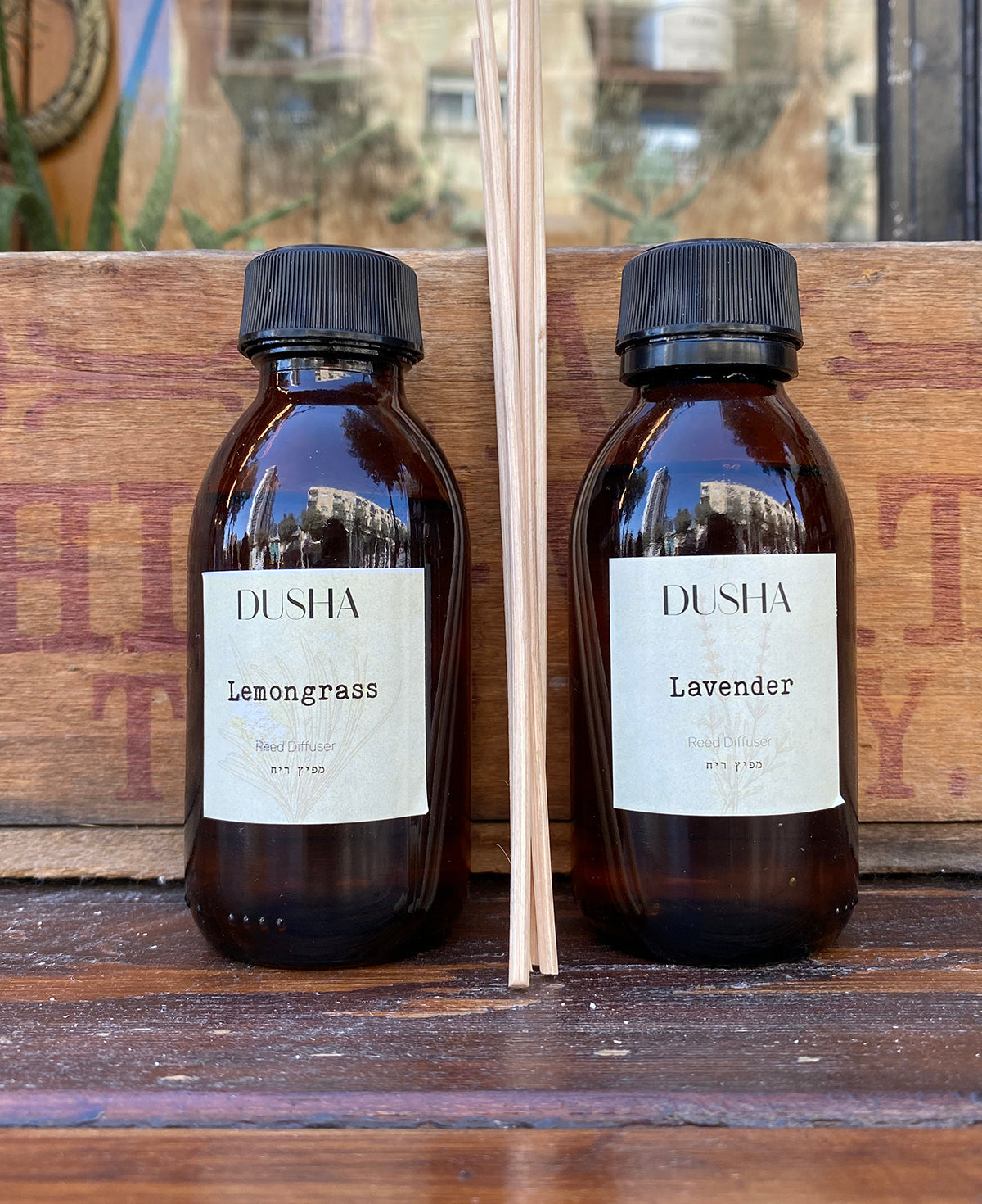 מפיצי הריח החדשים שלנו - טבע שממלא את הבית