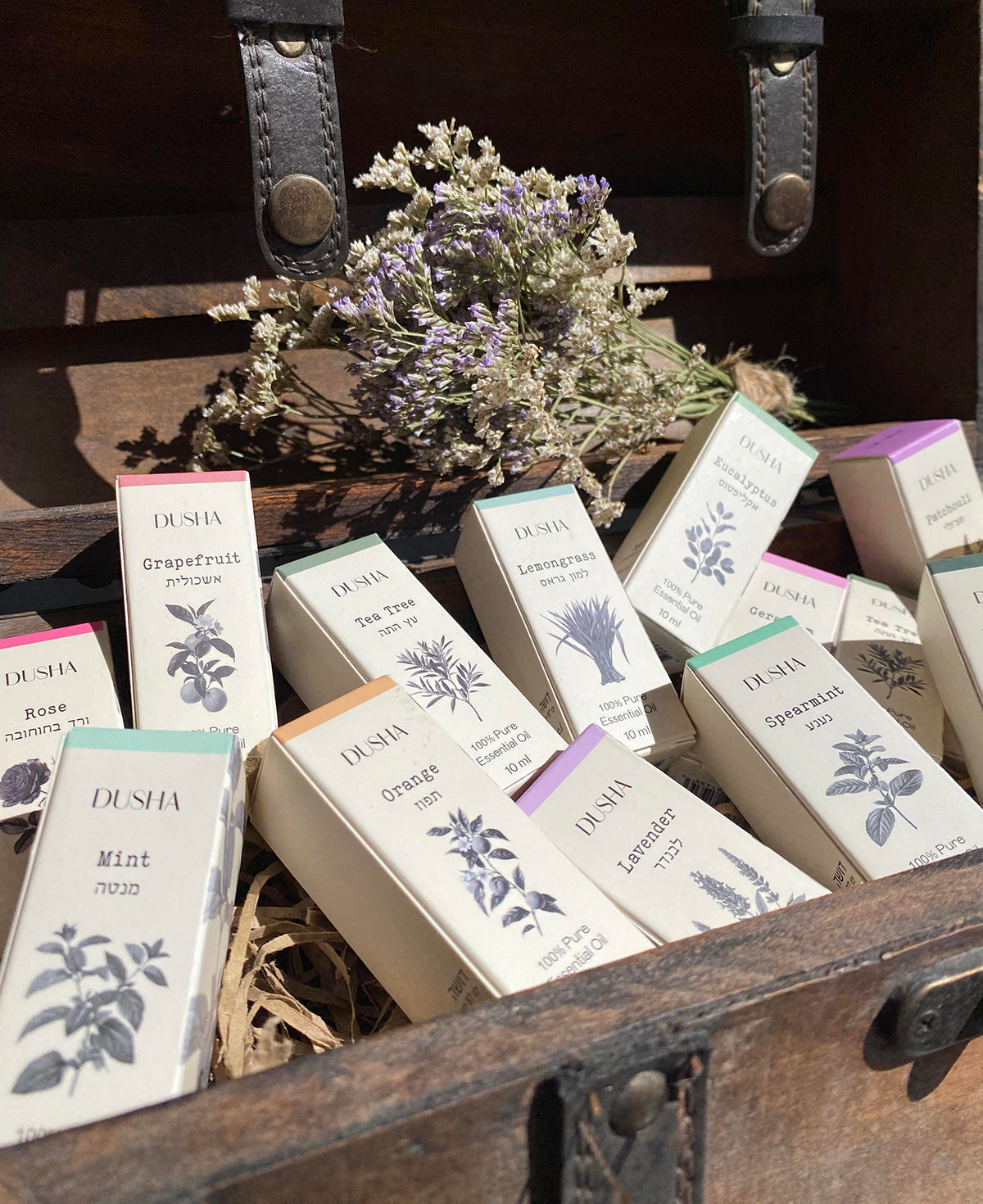 מדריך ארומתרפיה לשמנים אתריים נפוצים