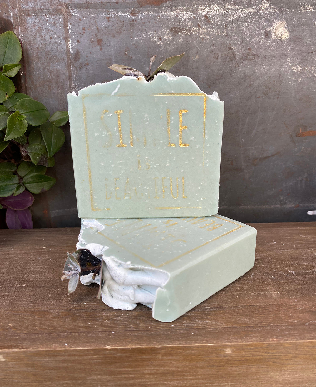 סבון מוצק אקליפטוס &amp; חימר ירוק- מהדורה מוגבלת